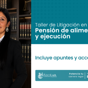 Taller de litigación en familia: pensión de alimentos y ejecución