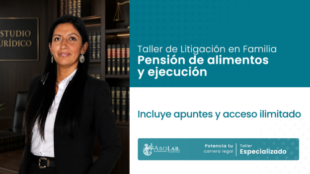 Taller de litigación en familia: pensión de alimentos y ejecución